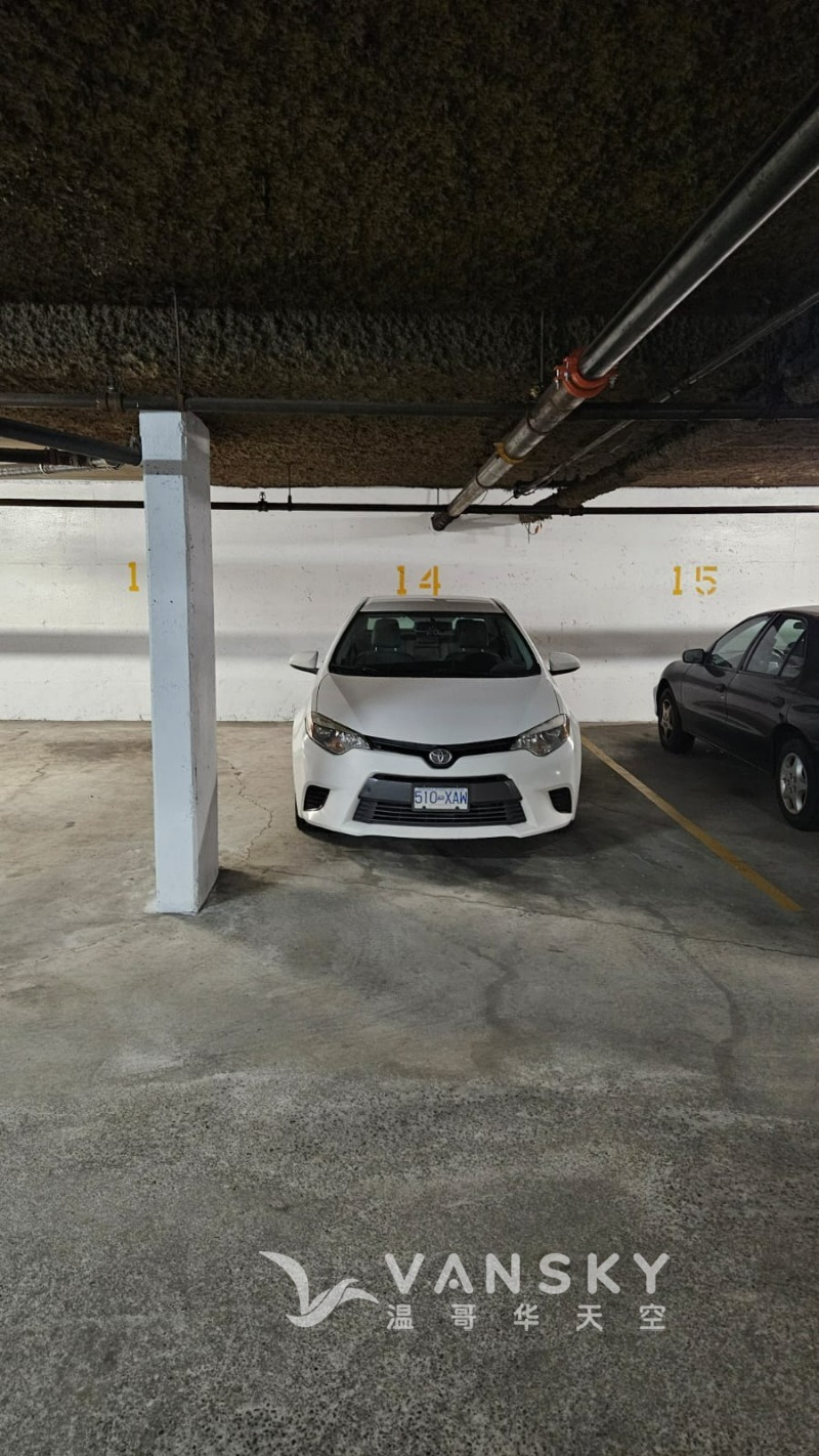 250320161743_WhatsApp Image 2025-03-04 at 8.04.21 PM.jpeg